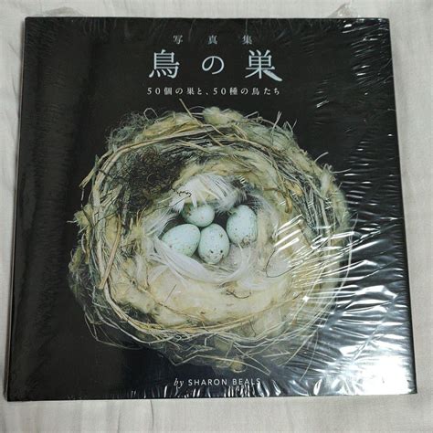 自然界 動物|50年先の未来にのこしたい50種の野生動物